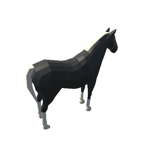 horse_04