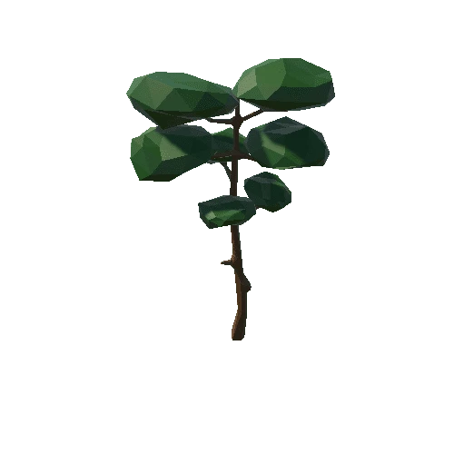 tree_pine