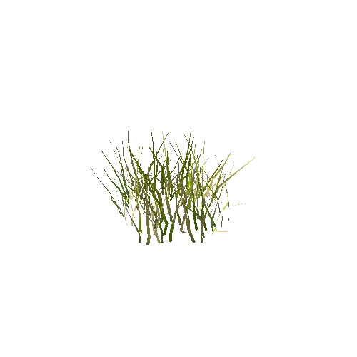 Mesh_Grass_UV_Pref