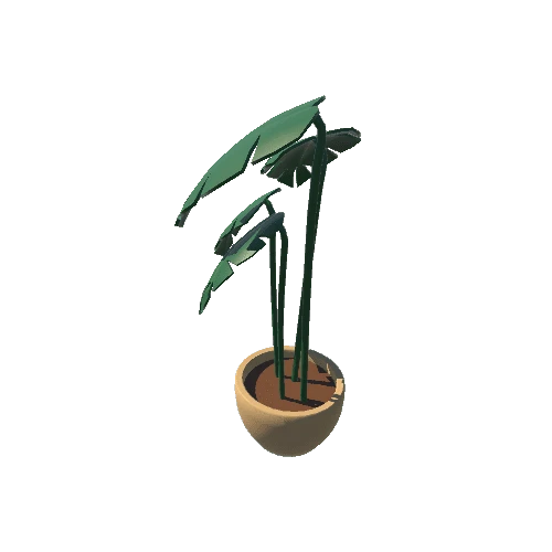 Plant