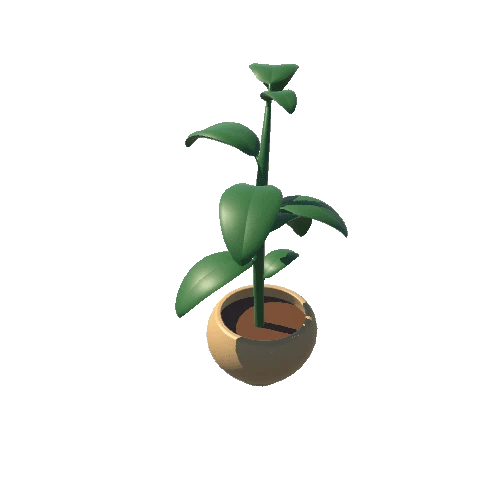 Plant2