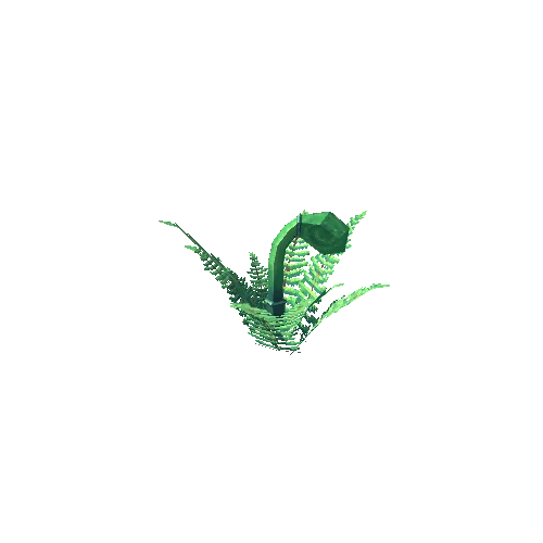 Fern_2_0