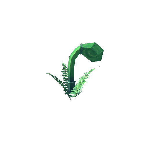 Fern_2_2