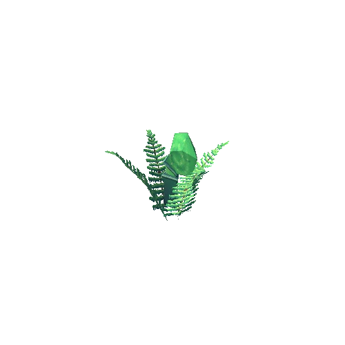 Fern_3_2