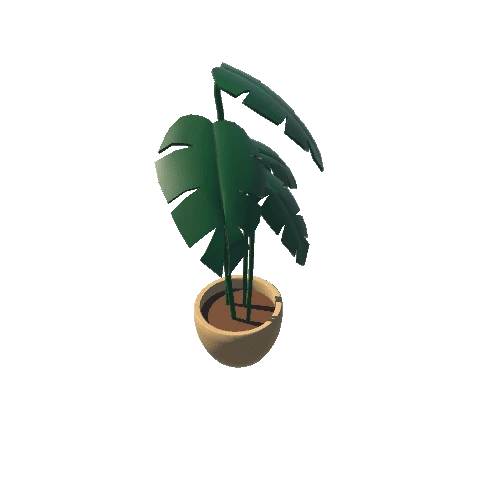 Plant.001