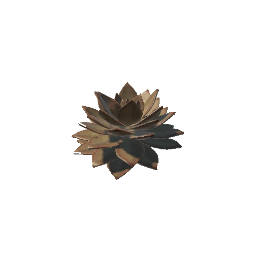 Succulent_GraptosedumBronze_var2