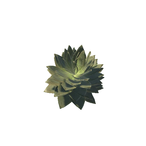 Succulent_ghost_plant_var2