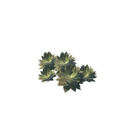 Succulent_ghost_plant_var4