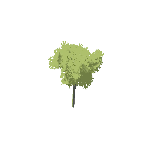 Stylized_Tree_2