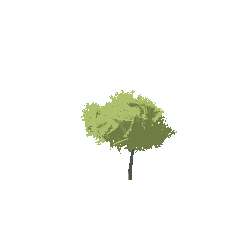 Stylized_Tree_4