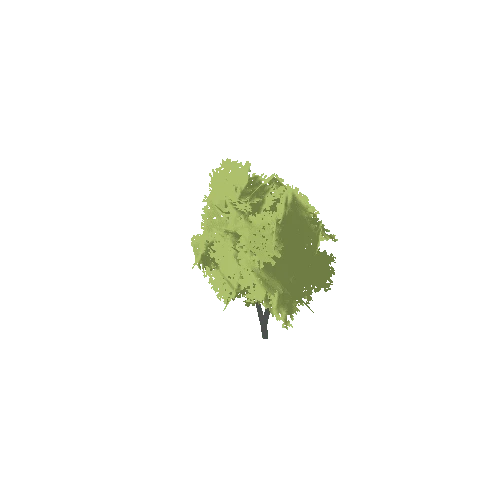 Stylized_Tree_5