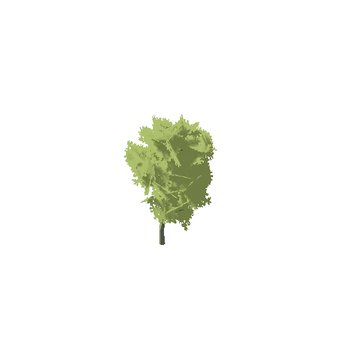 Stylized_Tree_6