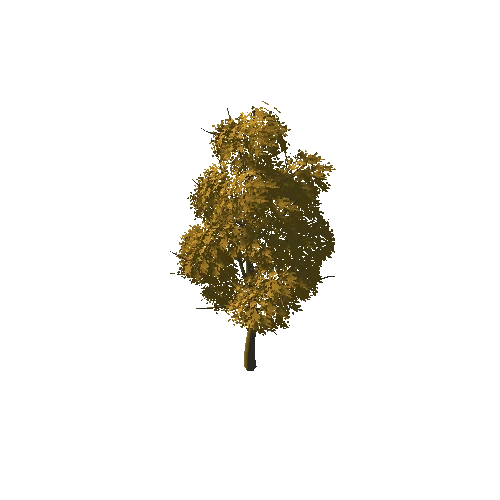 MV_Tree_A_03