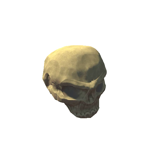 Skull