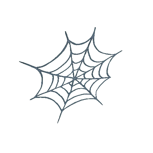 Pantry_Spiderweb