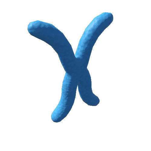 Chromosome_X