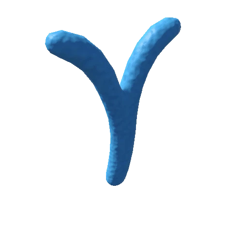 Chromosome_Y