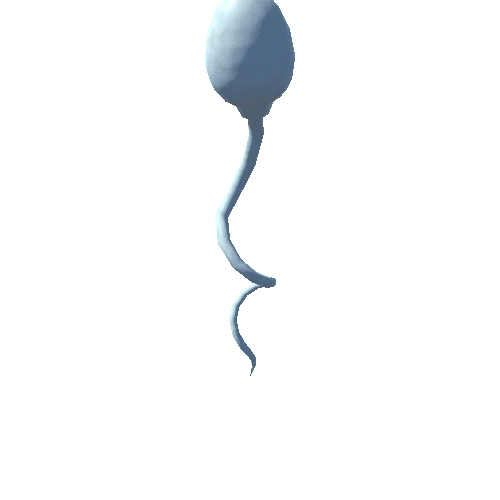 Sperm