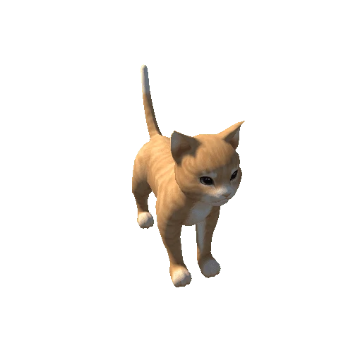 Cat_Skin_03