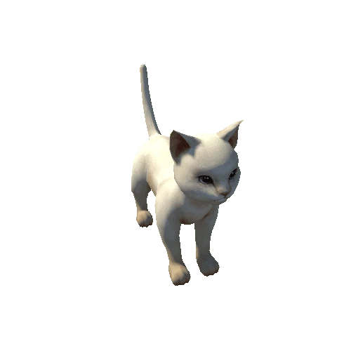 Cat_Skin_06