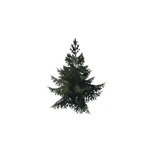 P_Spruce_Small_2