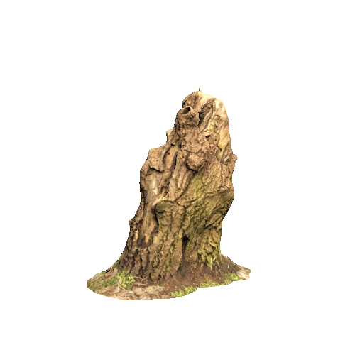 P_Tree_Stump_4