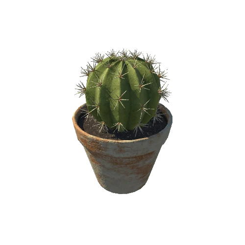 SM_cactus_02