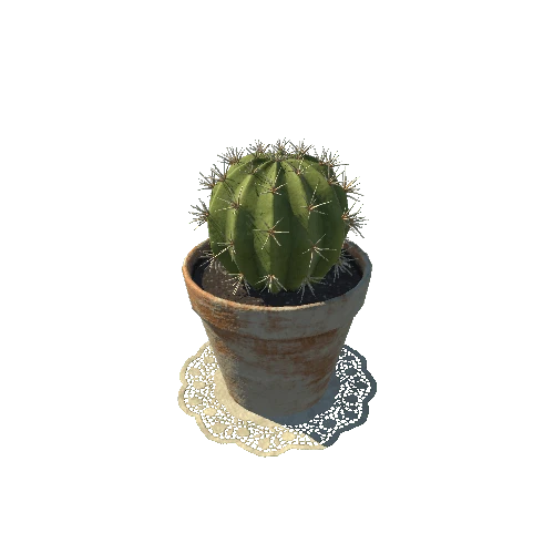 SM_cactus_04