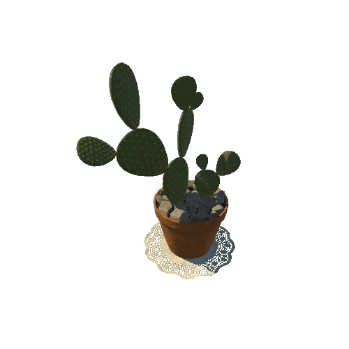 SM_cactus_05