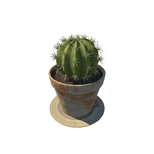 SM_cactus_06