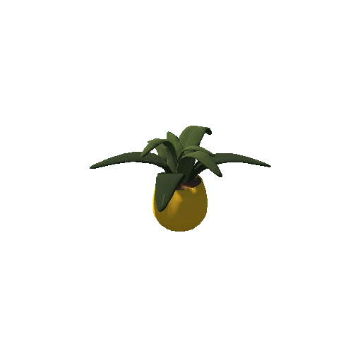 plant_01