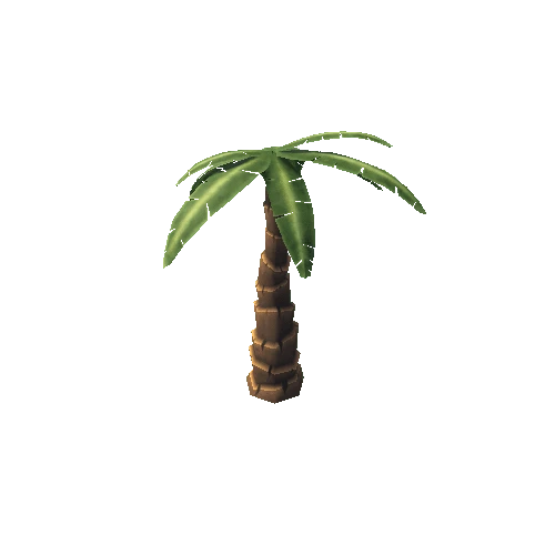 Palm01