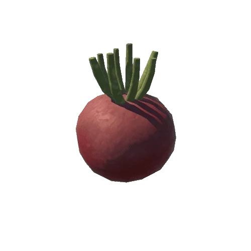 Radish