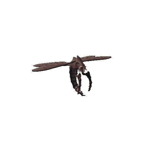 basemesh_FlyingShrimpMonsterV4_brown