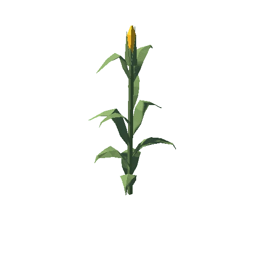 CornPlant_01