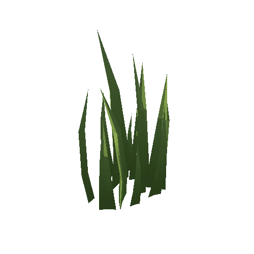 Grass_02