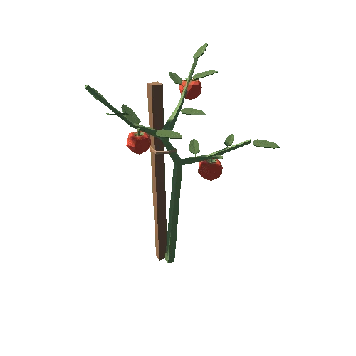 TomatoPlant_01