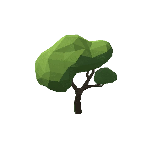 Tree_05