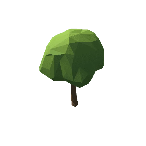 Tree_06