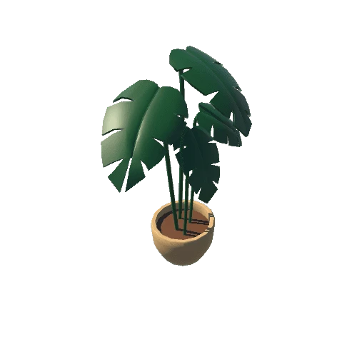 Plant