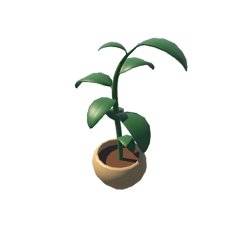 Plant2