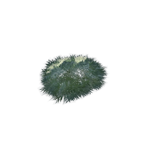 SM_bush_leaf_01