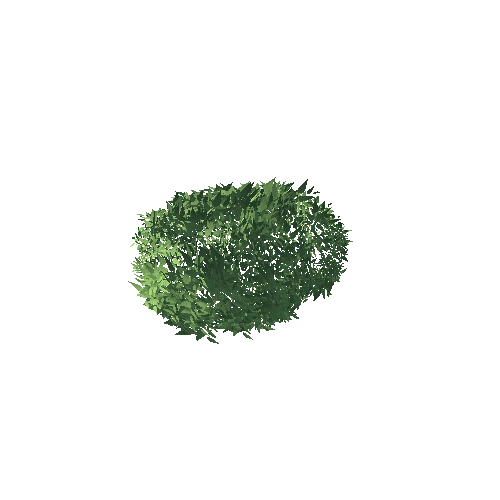 SM_bush_leaf_03