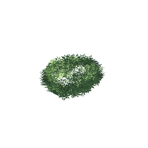 SM_bush_leaf_04