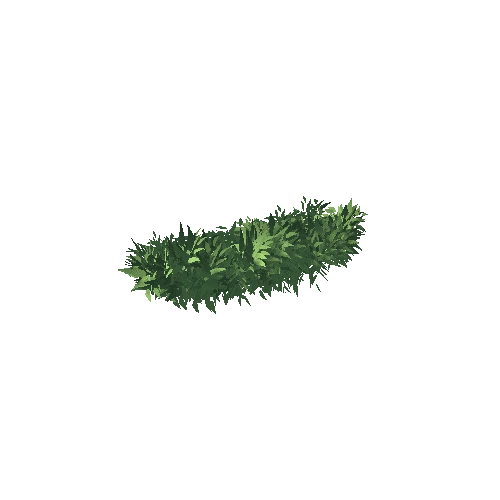 SM_bush_leaves_02