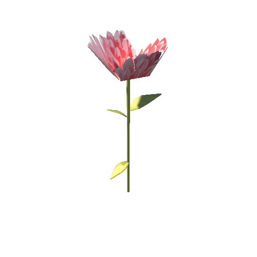 SM_flower_04