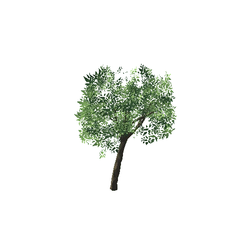 SM_tree_04