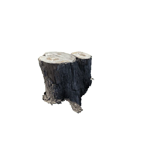 Stump_fresh_prefab