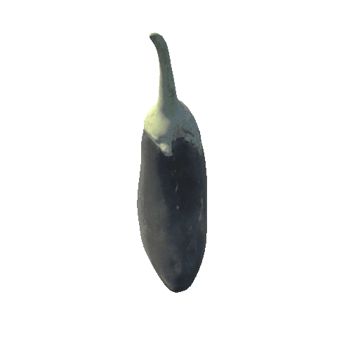 Eggplant01