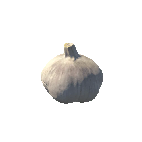 Garlic01